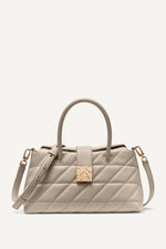 حقيبة ساتشيل دارسي